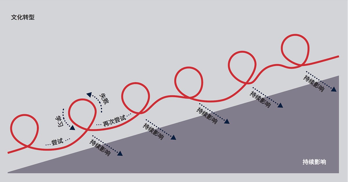 图1：文化转型是一种适应性挑战