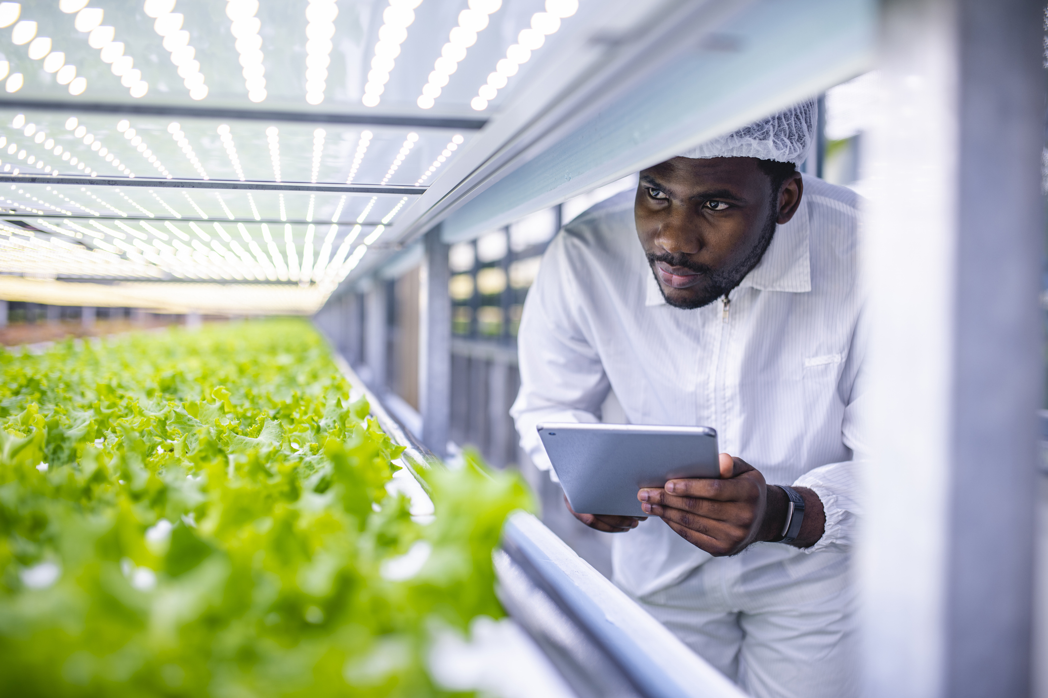 ¿Cómo transformar el sector de la agricultura, la alimentación y las bebidas?