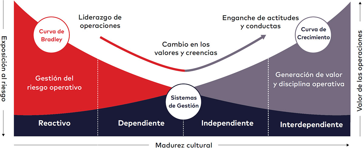 Figura 7. Curvas de Bradley y de Crecimiento de dss+